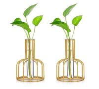 Glasseam Stazione di Propagazione in Vetro con Struttura in Metallo, Set di 2 Vaso di Fiori Nero, Vaso per Provette per Impianto Idroponico, Vaso per Gemme Piccole per Cucina Domestica, Oro