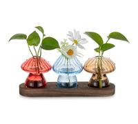 Glasseam Stazione di Propagazione in Vetro per Casa: 3 Vaso Fiori a Funghi Colorati con Vassoio in Legno per Soggiorno Cucina Desktop - Terrario Piante Vasi da Interno per Mamma e Amanti delle Piante