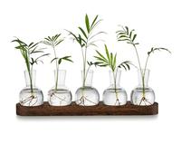 Glasseam Stazione di propagazione per terrario per piante, vaso in vetro con vassoio in legno, moderno vaso per germogli per soggiorno, ufficio, vaso da fiori da scrivania, vaso di vetro idroponico