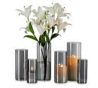 Glasseam Vaso di Vetro Grande Grigio: 6pcs Vasi Cilindrici Moderni per Decorazioni da Tavola Centrotavola - Vasi A Uragano per Decorazioni Rose Tulipani Pampa Portacandele Decorativi (15/20/25cm)
