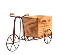 Glayent Supporto per piante a forma di bicicletta, in filo di metallo, vaso da fiori in battuto, per giardino, patio, ufficio, decorazione per interni ed esterni