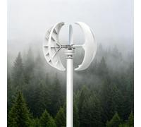 GLBMXDD Piccole Turbine eoliche, generatore Eolico ad ASSE Verticale, Kit turbina eolica a 5 Pale, velocità del -Vento 2M/S, generatore Eolico per casa, Campeggio - Bianco 400W-12V