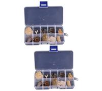 GLEAVI 2 Set Esemplare Didattico Campione Scientifico Didattico Animale Reale Paleontologia Trilobato Ragazzo Kit Arredamento Del Modello Antico Fossile 10 Pezzi*2