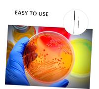 GLEAVI Bastoncini Inoculazione in Acciaio Inossidabile per Microbiologia Strumenti Leggeri per Laboratorio Adatti Esperimenti e Progetti Scientifici Colore Casuale Colore Casuale