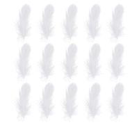 GLEAVI Piume di Cigno Bianche Accessori Delicati e Unici 200 Pezzi Dimensioni 7-12cm per Decorazioni Matrimonio e Feste per Composizioni Floreali e Foto