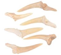 GLEAVI Set 6 Collane Ciondolo Dente di Squalo Fossile Naturale per e Uomo Collana Decorativa per Collo Denti di Squalo Semi-Completi Accessorio Biologico Educativo e Gioiello Fai da Te