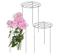 GLELLIS for the GLASSENDE Plants Outdoor - Iron GRELLIS Set per viti e fiori | Confezione da 3 telai di supporto per piante in vaso, aiuole rialzate, crescita delle verdure e decorazione per