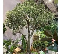 Glenmi Albero di ulivo Finto, pianta Artificiale in Seta dall'aspetto Naturale, Che Non Richiede Manutenzione, aggiunge Eleganza e Comfort a Qualsiasi Stanza for l'arredamento(2mx1.8m)