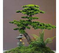 Glenmi Bonsai di Pino Artificiale - Pianta Finta realistica con Materiali ecologici, simboleggia Armonia, Fortuna e Feng Shui, Regalo Perfetto for Decorazioni Interne ed Esterne.(7ft)