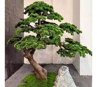 Glenmi Bonsai Finto for Decorazioni da Interni - Pino Artificiale Realistico, Nessuna Manutenzione, Perfetto for casa, Ufficio, Ristorante Come Regalo Zen Portafortuna(6ft)