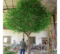 Glenmi Grande Albero di Banyan Artificiale for l'arredamento della casa, pianta di ficus Finta realistica Senza Manutenzione con Foglie di Seta, Perfetta for la Decorazione Interna(3mx2.5m)