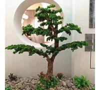 Glenmi Pino Artificiale, pianta Artificiale Vivace e realistica, aggiunge Un Tocco Zen al Tuo Spazio, Perfetto Come centrotavola, Come Regalo o Come scrivania da Ufficio, Senza potatura.(4ft)