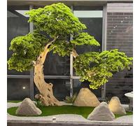 Glenmi Pino Bonsai Artificiale in Vaso for Case Moderne, Replica realistica Che Offre Un Modo Semplice for integrare Lo Stile Naturale e i principi del Feng Shui(6ft)