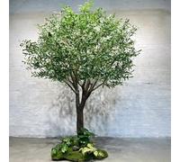 Glenmi Ulivo Artificiale a Bassa Manutenzione: Sembra Una pianta Vera, Non necessita di irrigazione. Aggiunge Eleganza a Qualsiasi Stanza: Soggiorno, Negozio, Camera da Letto(3.5mx3m)