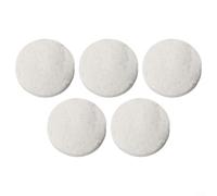 GLFLOW Fogli di cotone a bioetanolo per camino, resistenti al calore, in spugna, 8,6 x 2,8 cm, colore bianco, per stufe interne, per uso in caminetto (5 pezzi)