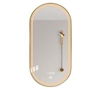 GLFNB Specchio da Bagno Ovale Dorato, Specchio da Parete a LED, Specchio da Bagno/Specchio da Barba per Soggiorno, Camera da Letto, Ingresso, Nero (Colore : Gold, Size : 40x60cm/15.7x23.6in)
