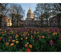 GLHUIOZ 1500 pezzi puzzle per adulti, grandi e impegnativi puzzle per adulti, intrattenimento 1500 pezzi puzzle regalo per amici familiari Campidoglio della Virginia degli Stati Uniti 87x57cm