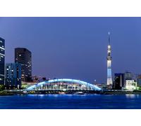 GLHUIOZ 1500 pezzi puzzle per adulti, grandi e impegnativi puzzle per adulti, intrattenimento 1500 pezzi puzzle regalo per amici familiari Tokyo, Giappone 87x57cm