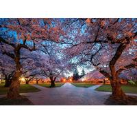 GLHUIOZ 500 Pezzi,Puzzle Adulti Giardino,Crocevia,52x38cm