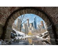 GLHUIOZ 500 pezzi puzzle per adulti, grandi e impegnativi puzzle per adulti, intrattenimento 500 pezzi puzzle regalo per amici familiari Città degli Stati Uniti 52x38cm