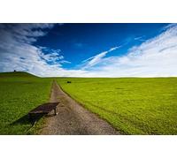 GLHUIOZ Genuine Puzzles,500 Pezzi,Campo,Carriola,52x38cm