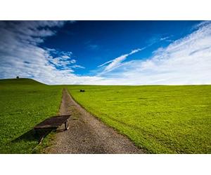 GLHUIOZ Genuine Puzzles,500 Pezzi,Campo,Carriola,52x38cm