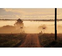 GLHUIOZ Genuine Puzzles,500 Pezzi,Campo,Trasloco,52x38cm