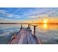 GLHUIOZ Other Impossible Puzzle,500 Pezzi,Gabbiani,52x38cm