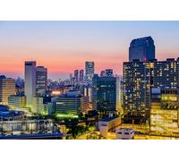 GLHUIOZ Puzzle 1000 Pezzi paesaggi-Puzzle di Legno- Relax Puzzle Giochi-rompicapo Puzzle Città Romantica per Bambini e Adulti Regali Tokyo, Giappone 75x50cm