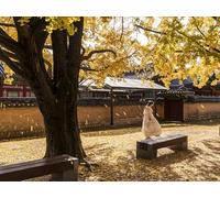 GLHUIOZ Puzzle 1000 Pezzi paesaggi-Puzzle di Legno- Relax Puzzle Giochi-rompicapo Puzzle Città Romantica per Bambini e Adulti Regali Corea del Sud Seul Asiatico Gyeongbok 75x50cm