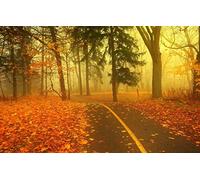 GLHUIOZ Puzzle 1000 Pezzi paesaggi-Puzzle di Legno- Relax Puzzle Giochi-rompicapo Puzzle Città Romantica per Bambini e Adulti Regali Paesaggi,75x50cm