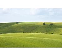 GLHUIOZ Puzzle 1000 Pezzi Puzzle adulti Puzzle Classico paesaggio - Gioco di Puzzle e Gioco di Famiglia,Consigliato per Adulti o Oltre 6 Anni Campo,Campo della Natura,75x50cm