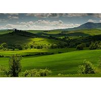 GLHUIOZ Puzzle 1000 pezzi,puzzle per adulti e bambini per la stampa ad alta definizione,gioco di famiglia sfida Italia,Toscana,75x50cm