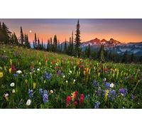 GLHUIOZ Puzzle 1000 pezzi - puzzle per adulti e bambini per la stampa ad alta definizione,gioco di famiglia sfida Alba di luna,campo,montagna,75x50cm