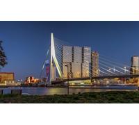 GLHUIOZ Puzzle 1000 pezzi, puzzle per adulti e bambini per la stampa ad alta definizione, gioco di famiglia sfida Ponti di Rotterdam nei Paesi Bassi 75x50cm