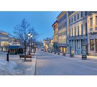 GLHUIOZ Puzzle 1500 Pezzi paesaggi-Puzzle di Legno- Relax Puzzle Giochi-rompicapo Puzzle Città Romantica per Bambini e Adulti Regali Canada Montreal Quebec 87x57cm