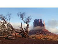 GLHUIOZ Puzzle 1500 pezzi,puzzle per adulti e bambini per la stampa ad alta definizione,gioco di famiglia sfida Monumento,Guanti,87x57cm