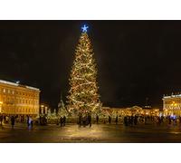 GLHUIOZ Puzzle 1500 pezzi - puzzle per adulti e bambini per la stampa ad alta definizione, gioco di famiglia sfida Natale Russia Città di Pietroburgo 87x57cm