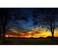 GLHUIOZ Puzzle 1500 Pezzi,Puzzle per Adulti,Puzzle di Legno,Campo,87x57cm