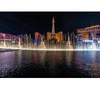 GLHUIOZ Puzzle 500 Pezzi, Collezione Paesaggi & Foto, Jigsaw Puzzle per Adulti - Stampa di Alta Qualità Fontana delle fontane degli Stati Uniti 52x38cm