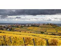 GLHUIOZ Puzzle 500 Pezzi paesaggi-Puzzle di Legno- Relax Puzzle Giochi-rompicapo Puzzle Città Romantica per Bambini e Adulti Regali Vigneto Francia 52x38cm