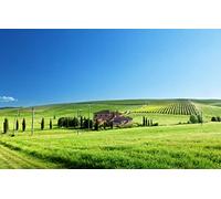 GLHUIOZ Puzzle 500 Pezzi paesaggi-Puzzle di Legno- Relax Puzzle Giochi-rompicapo Puzzle Città Romantica per Bambini e Adulti Regali,Campo,Verde,Vigneti,52x38cm