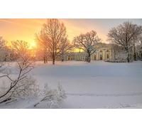 GLHUIOZ Puzzle 500 Pezzi paesaggi-Puzzle di Legno- Relax -rompicapo Puzzle Città Romantica per Bambini e Adulti Regali,San Pietroburgo,Russia,Pushkin,Carskoe Selo,Palazzo Alexander,52x38cm