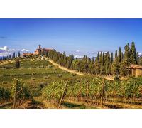 GLHUIOZ Puzzle 500 Pezzi Puzzle adulti Puzzle Classico paesaggio - Gioco di Puzzle e Gioco di Famiglia,Consigliato per Adulti o Oltre 6 Anni,L'Italia,Toscana,Castello Banfi,52x38cm