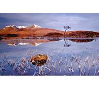 GLHUIOZ Puzzle 500 Pezzi Puzzle adulti Puzzle Classico paesaggio - Gioco di Puzzle e Gioco di Famiglia,Consigliato per Adulti o Oltre 6 Anni Paesaggi,52x38cm