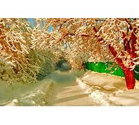 GLHUIOZ Puzzle 500 Pezzi Puzzle adulti Puzzle Classico paesaggio - Gioco di Puzzle e Gioco di Famiglia,Consigliato per Adulti o Oltre 6 Anni,Strada,52x38cm