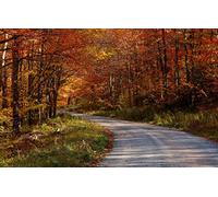 GLHUIOZ Puzzle 500 Pezzi Puzzle adulti Puzzle Classico paesaggio - Gioco di Puzzle e Gioco di Famiglia,Consigliato per Adulti o Oltre 6 Anni Paesaggi,52x38cm