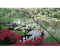 GLHUIOZ Puzzle 500 Pezzi Puzzle adulti Puzzle Classico paesaggio - Gioco di Puzzle e Gioco di Famiglia,Consigliato per Adulti o Oltre 6 Anni Giappone,Giardino,Ponti,52x38cm