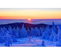 GLHUIOZ Puzzle 500 Pezzi Puzzle adulti Puzzle Classico paesaggio - Gioco di Puzzle e Gioco di Famiglia,Consigliato per Adulti o Oltre 6 Anni,Germania,Alberi,Monte Brocken,52x38cm