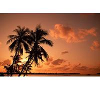 GLHUIOZ Puzzle 500 Pezzi Puzzle adulti Puzzle Classico paesaggio - Gioco di Puzzle e Gioco di Famiglia,Consigliato per Adulti o Oltre 6 Anni Paesaggi,52x38cm